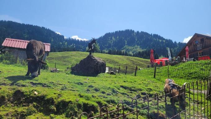 Jausenstation Neuschwand Villa Hittisau Eksteriør bilde