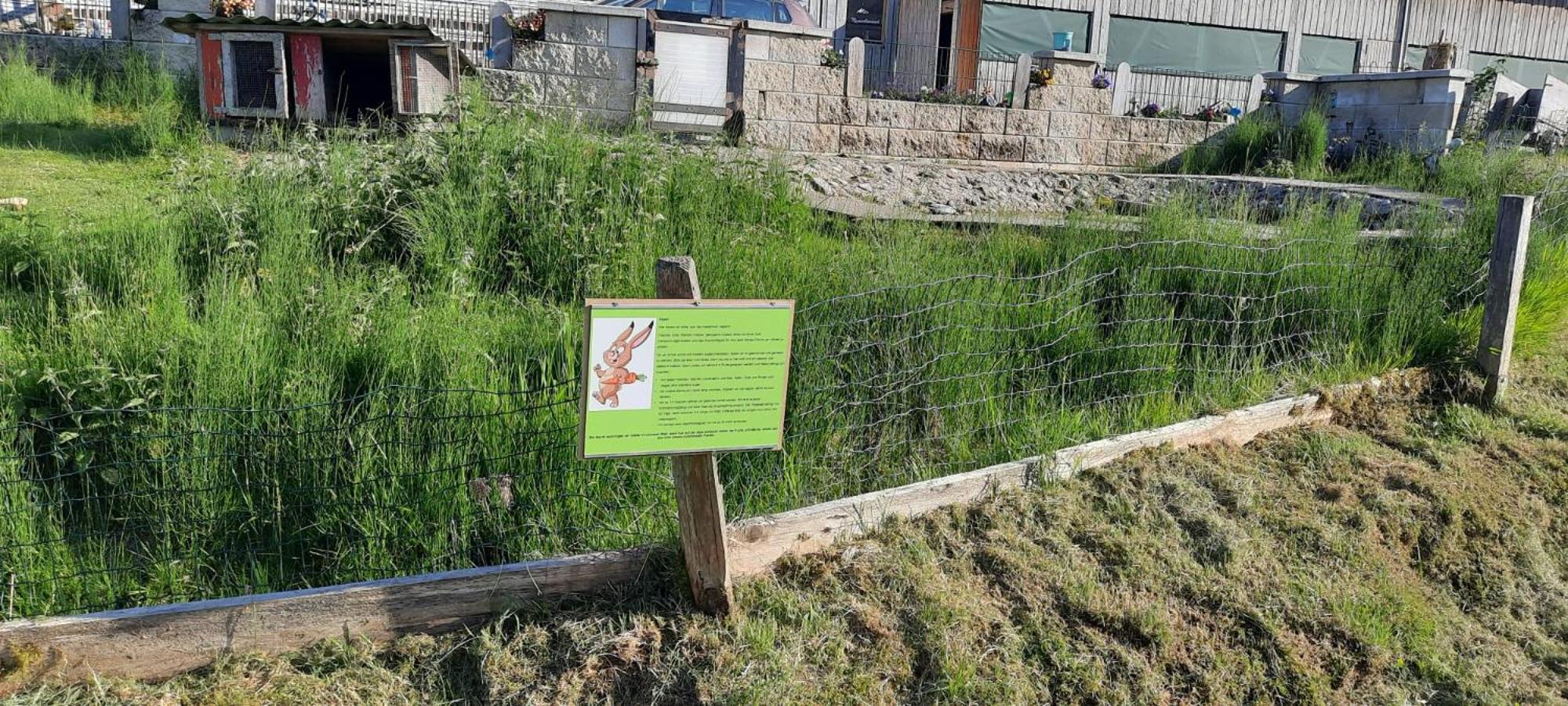 Jausenstation Neuschwand Villa Hittisau Eksteriør bilde