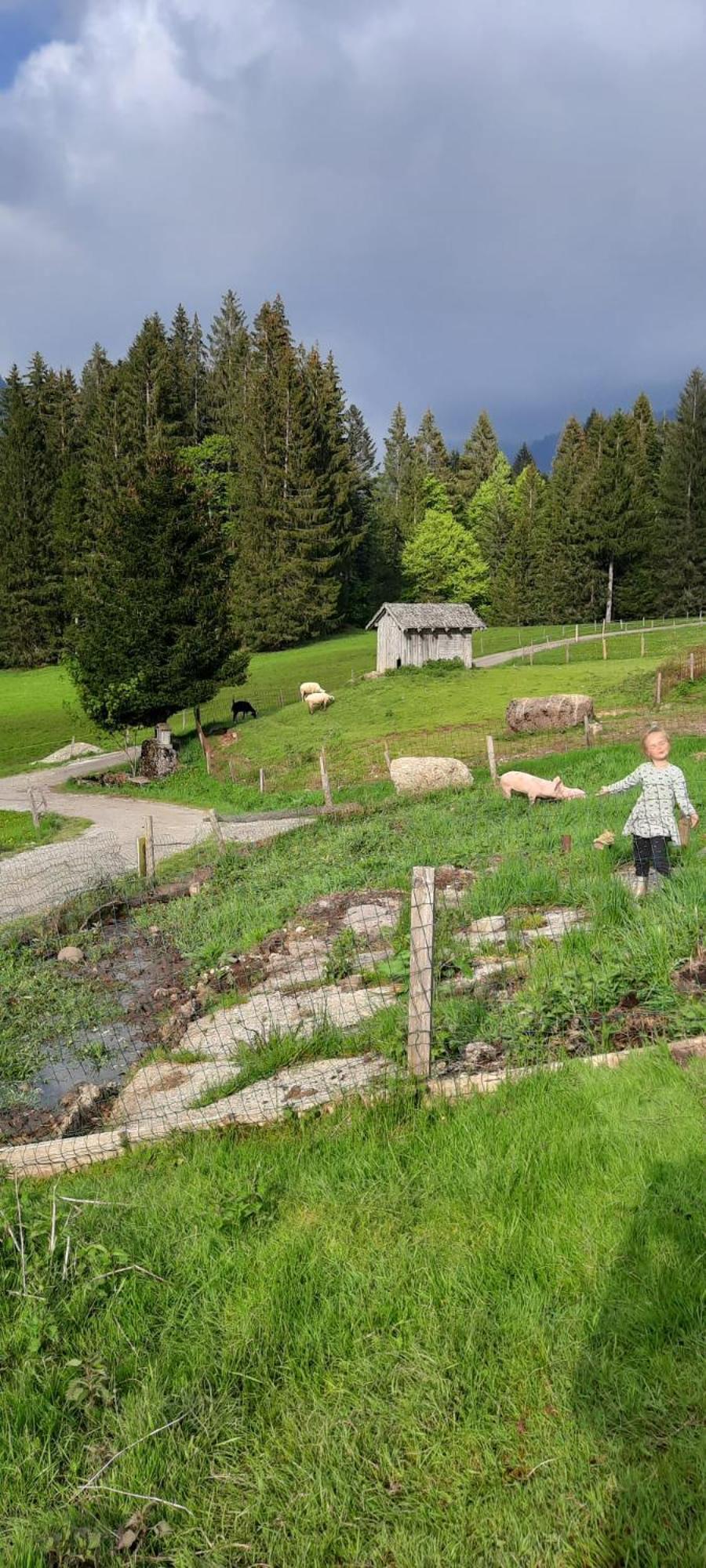 Jausenstation Neuschwand Villa Hittisau Eksteriør bilde