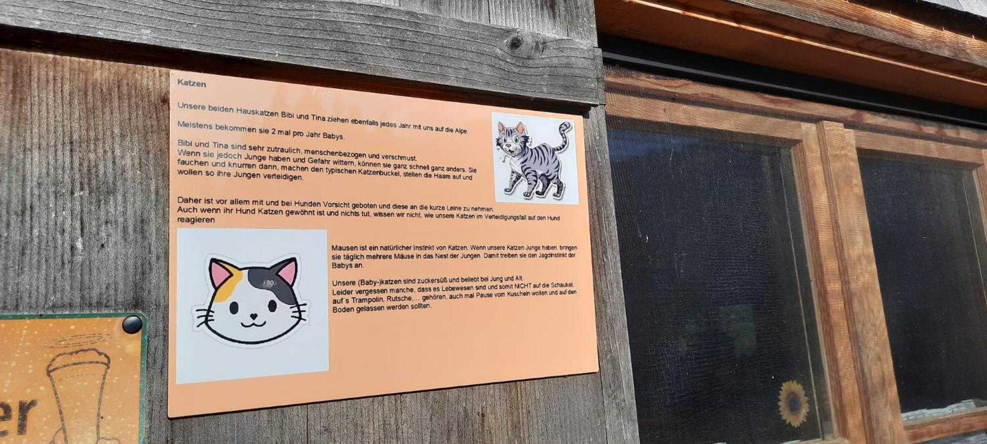 Jausenstation Neuschwand Villa Hittisau Eksteriør bilde