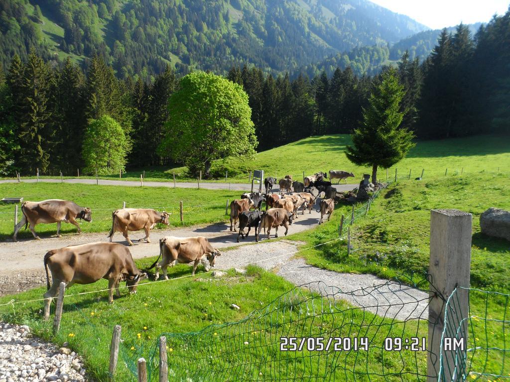 Jausenstation Neuschwand Villa Hittisau Eksteriør bilde