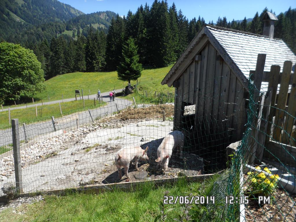 Jausenstation Neuschwand Villa Hittisau Eksteriør bilde