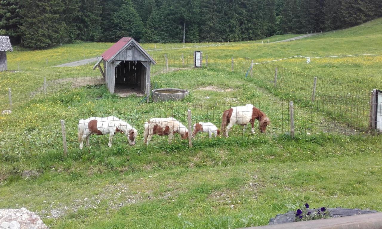 Jausenstation Neuschwand Villa Hittisau Eksteriør bilde
