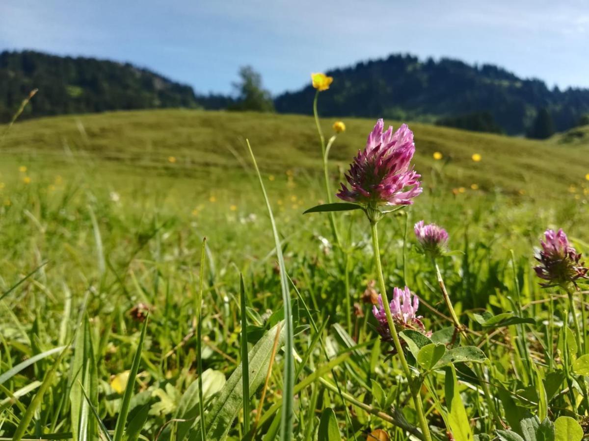 Jausenstation Neuschwand Villa Hittisau Eksteriør bilde